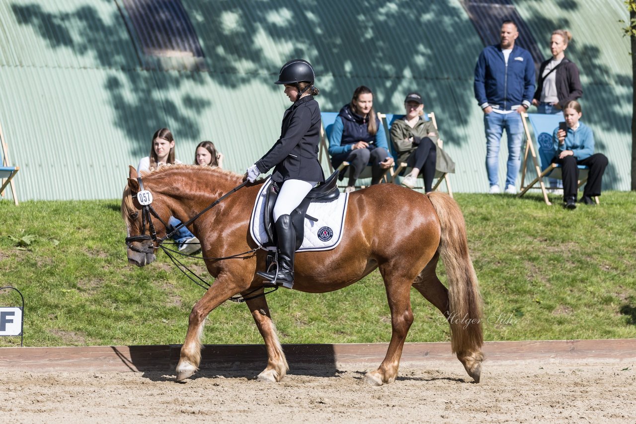 Bild 50 - Pony Akademie Turnier